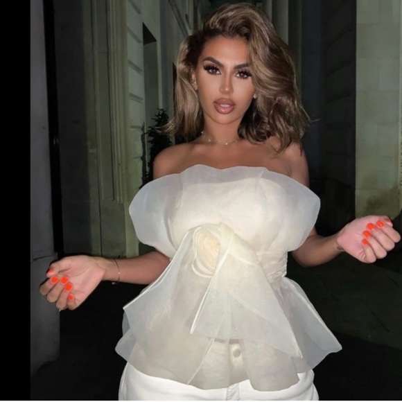 ZARA Floral Organza Front Bow Top M - Picture 3 of 6